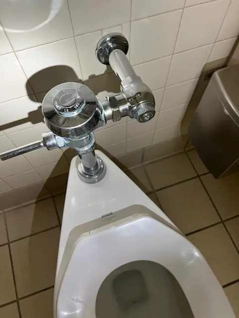 Fixture installation and repair for Repiping in Palmora